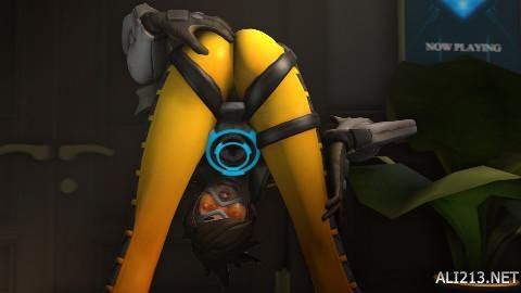 前十字韧带 前十字韧带