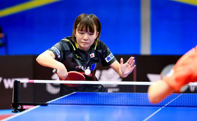 提供了强有 提供了强有