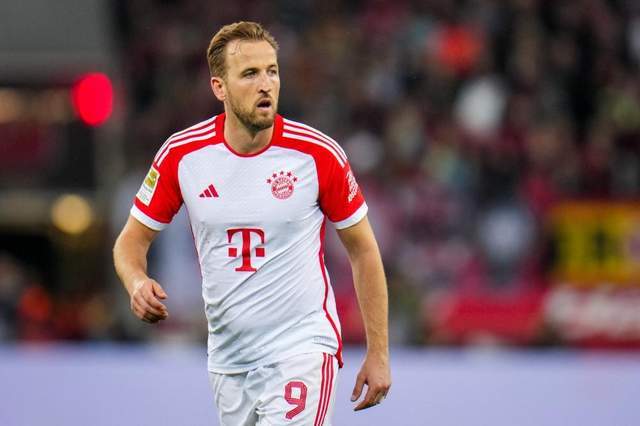 引发了广大 引发了广大