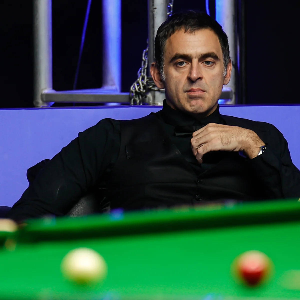 他们很可能 他们很可能