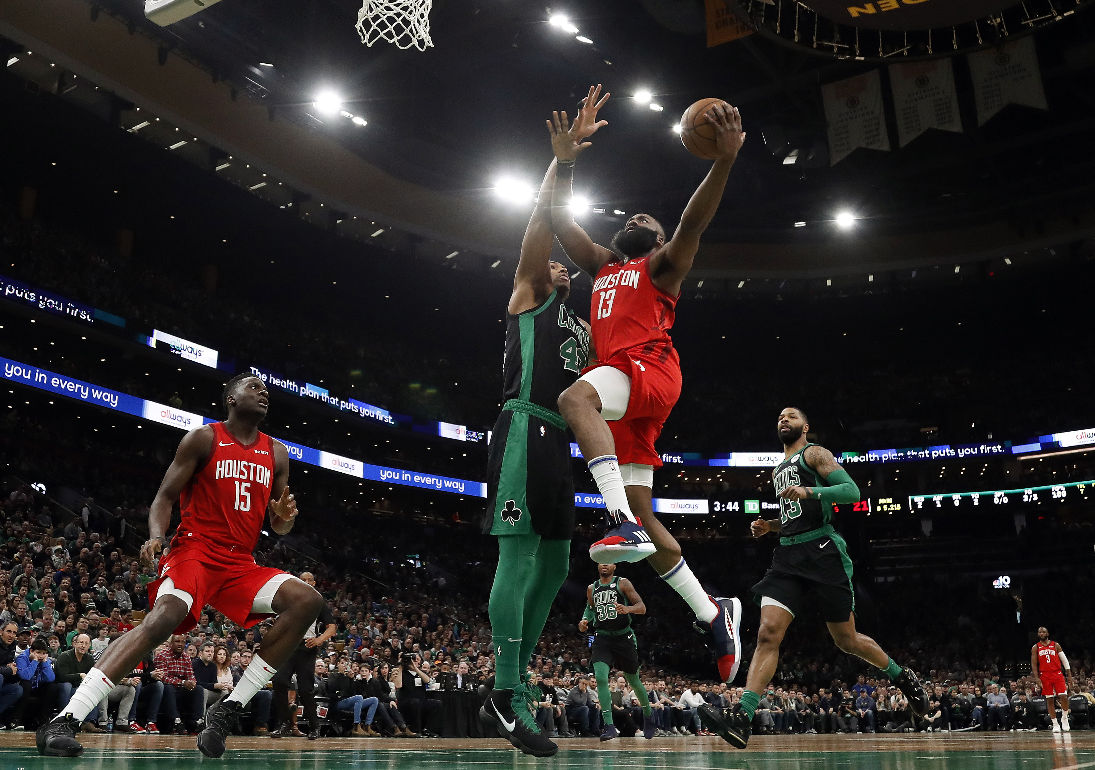 紫百合在竞 紫百合在竞